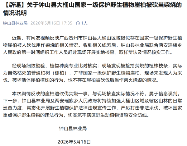 “广西大桶山崖柏被砍当柴烧”？官方辟谣