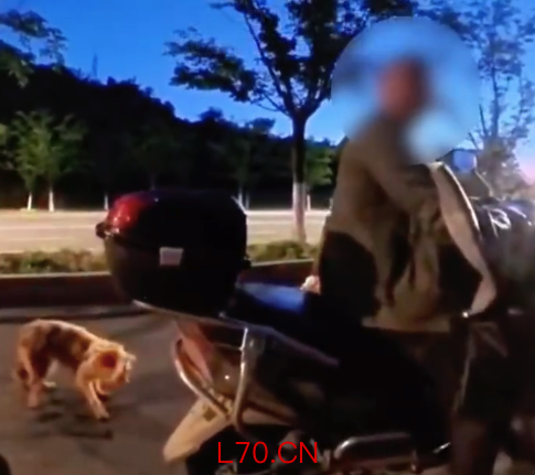 男子骑车拖行小狗致其血流一路 