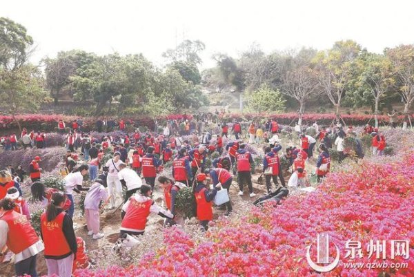 400多名市民共植“春色”250株茶花树为山线绿道添新景