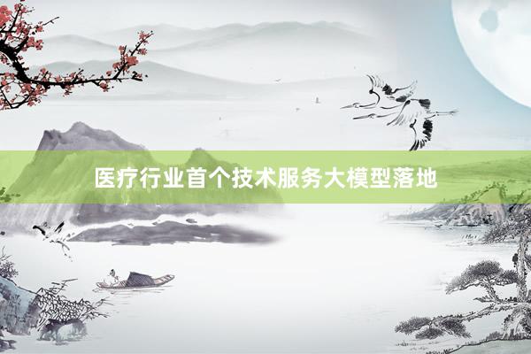 医疗行业首个技术服务大模型落地