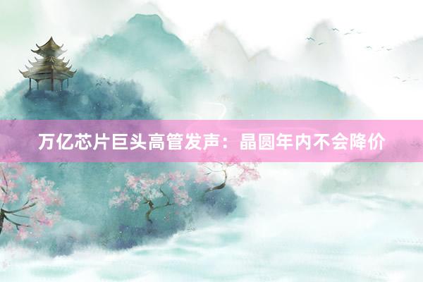 万亿芯片巨头高管发声：晶圆年内不会降价