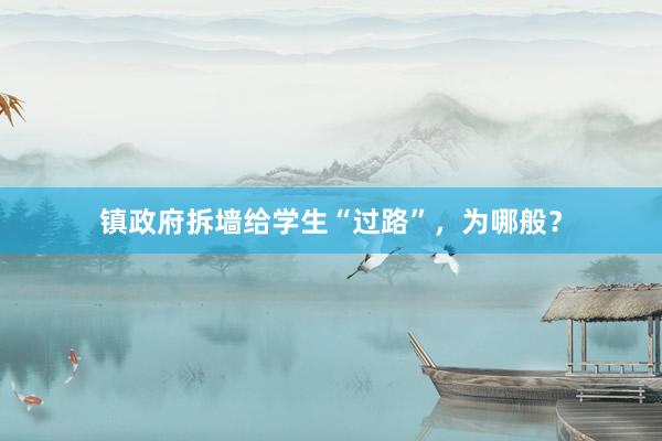 镇政府拆墙给学生“过路”，为哪般？