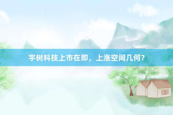 宇树科技上市在即,上涨空间几何?