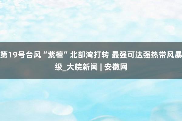 第19号台风“紫檀”北部湾打转 最强可达强热带风暴级_大皖新闻 | 安徽网