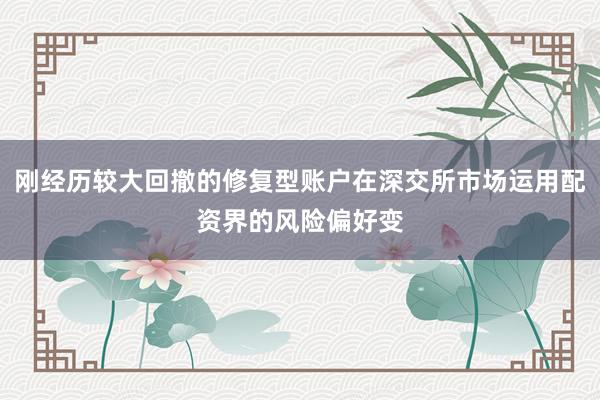 刚经历较大回撤的修复型账户在深交所市场运用配资界的风险偏好变