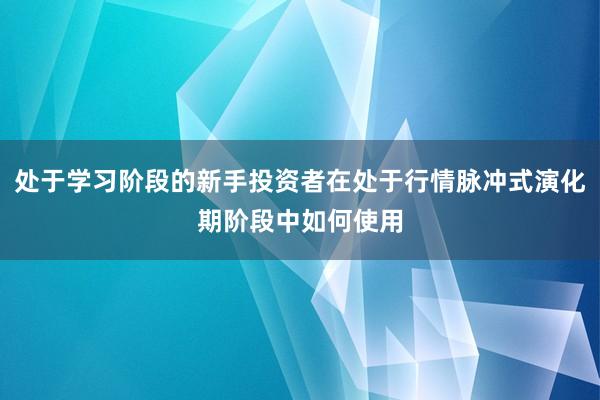 处于学习阶段的新手投资者在处于行情脉冲式演化期阶段中如何使用