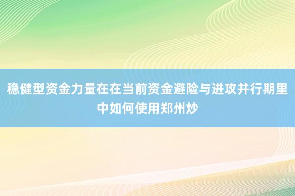 稳健型资金力量在在当前资金避险与进攻并行期里中如何使用郑州炒