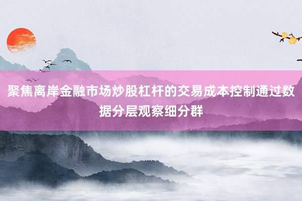 聚焦离岸金融市场炒股杠杆的交易成本控制通过数据分层观察细分群