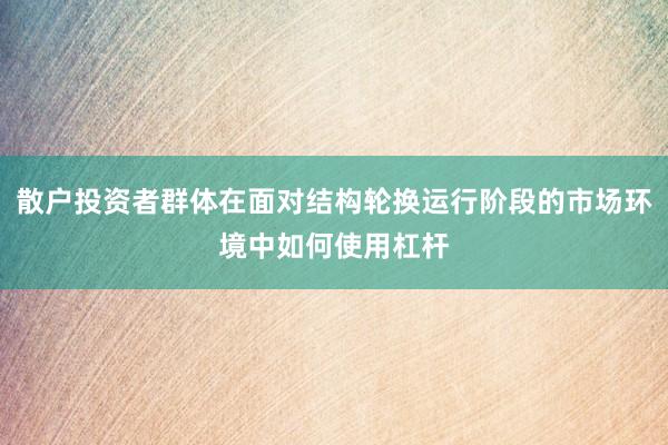 散户投资者群体在面对结构轮换运行阶段的市场环境中如何使用杠杆