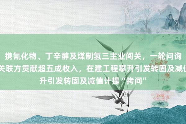 携氰化物、丁辛醇及煤制氢三主业闯关，一轮问询后“撤稿”，关联方贡献超五成收入，在建工程攀升引发转固及减值计提“拷问”