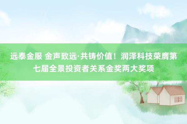 远泰金服 金声致远·共铸价值！润泽科技荣膺第七届全景投资者关系金奖两大奖项