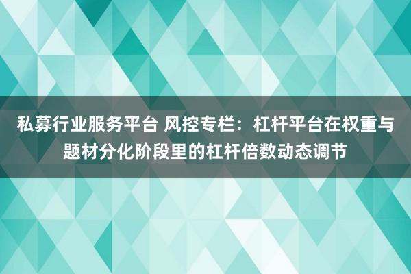 私募行业服务平台 风控专栏：杠杆平台在权重与题材分化阶段里的杠杆倍数动态调节