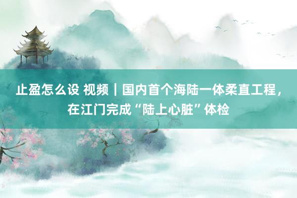 止盈怎么设 视频｜国内首个海陆一体柔直工程，在江门完成“陆上心脏”体检