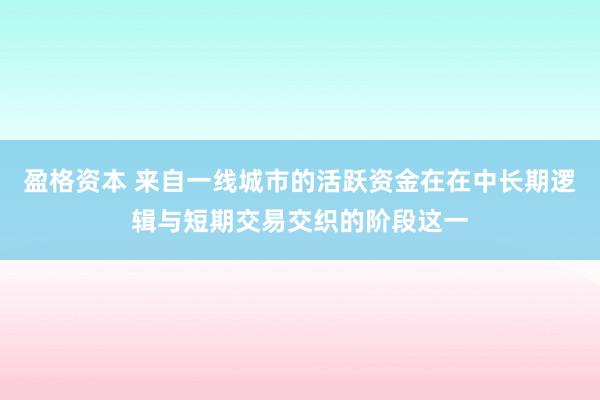 盈格资本 来自一线城市的活跃资金在在中长期逻辑与短期交易交织的阶段这一