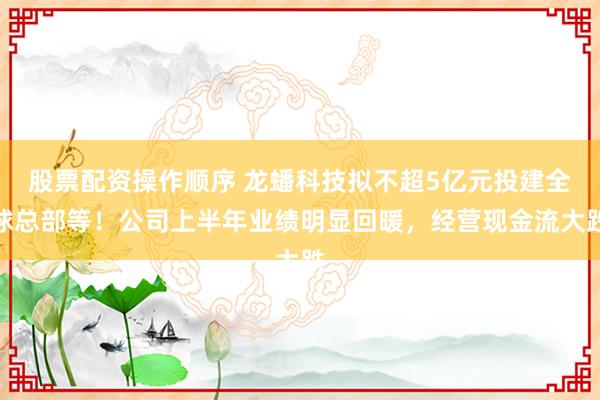 股票配资操作顺序 龙蟠科技拟不超5亿元投建全球总部等！公司上半年业绩明显回暖，经营现金流大跌