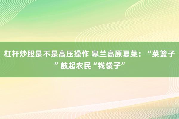 杠杆炒股是不是高压操作 皋兰高原夏菜：“菜篮子”鼓起农民“钱袋子”