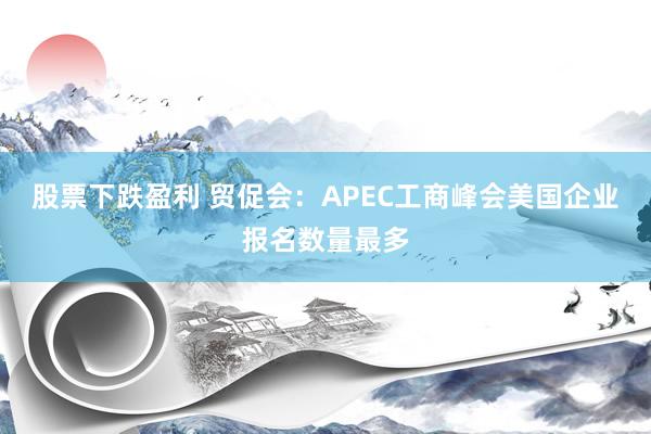 股票下跌盈利 贸促会：APEC工商峰会美国企业报名数量最多